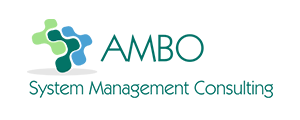 AMBO System Management Consulting